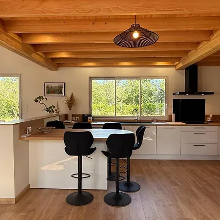 Magnifique Ambiance