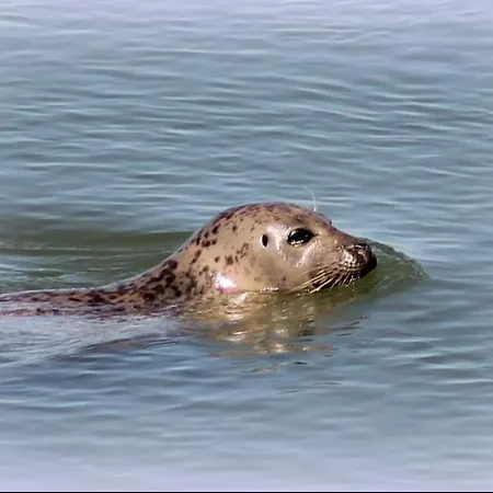 Prázdninový dům Magnifique Ambiance