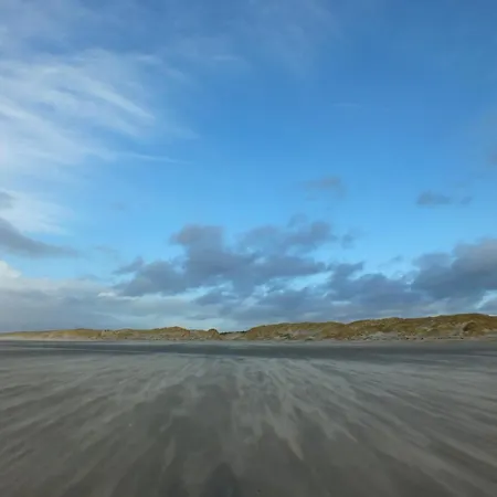 Magnifique Ambiance Arrest