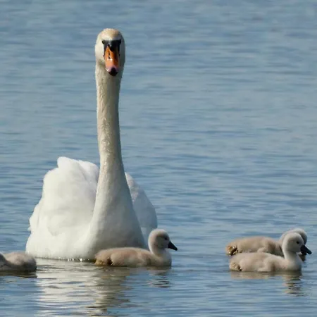 Prázdninový dům Magnifique Ambiance